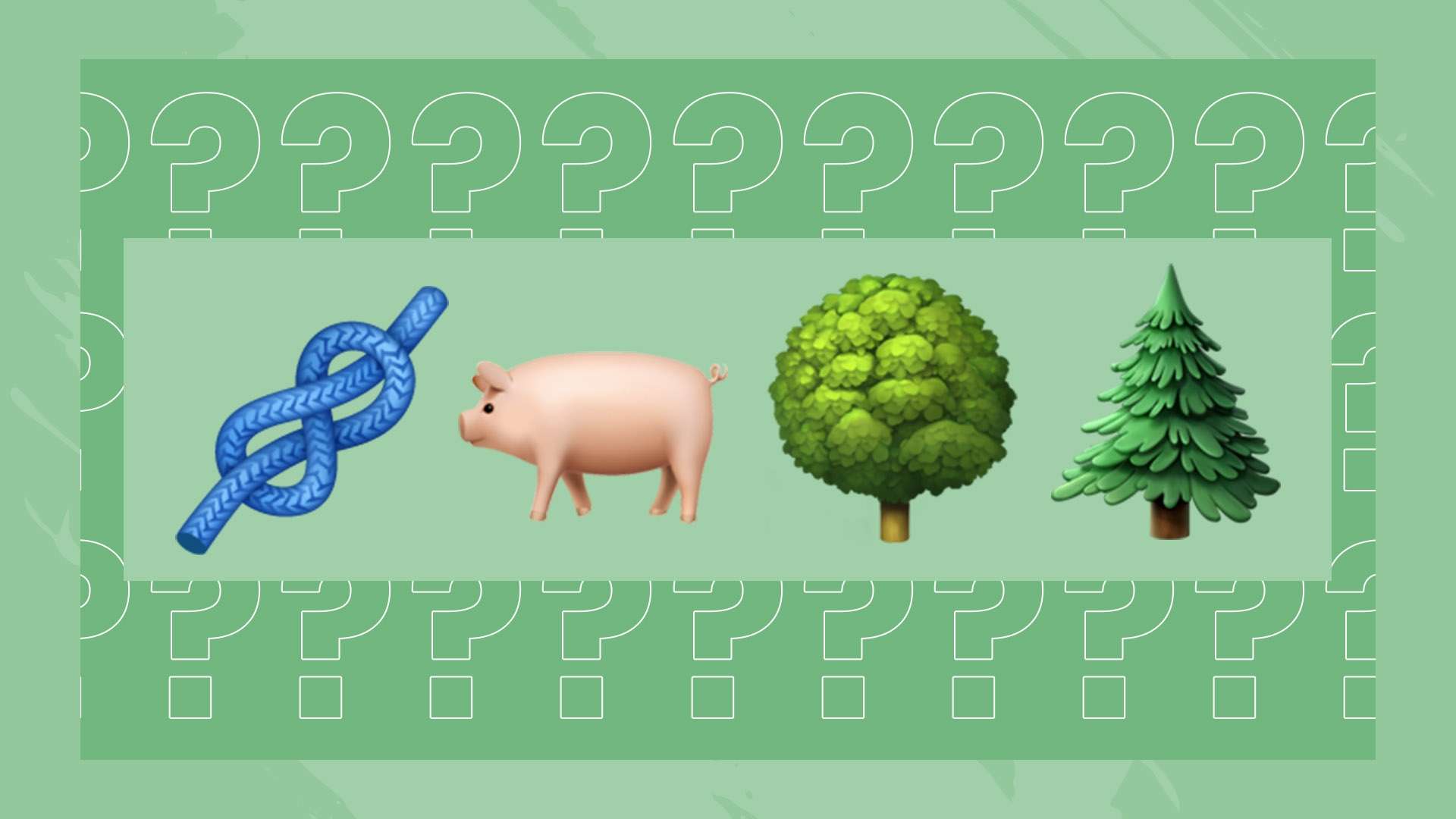 从过往比赛 从过往比赛